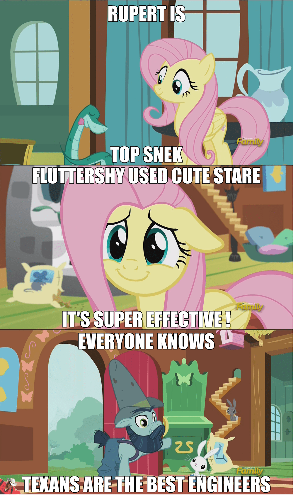 Fluttershy Memes In - My Little Brony - my little pony, friendship is ...