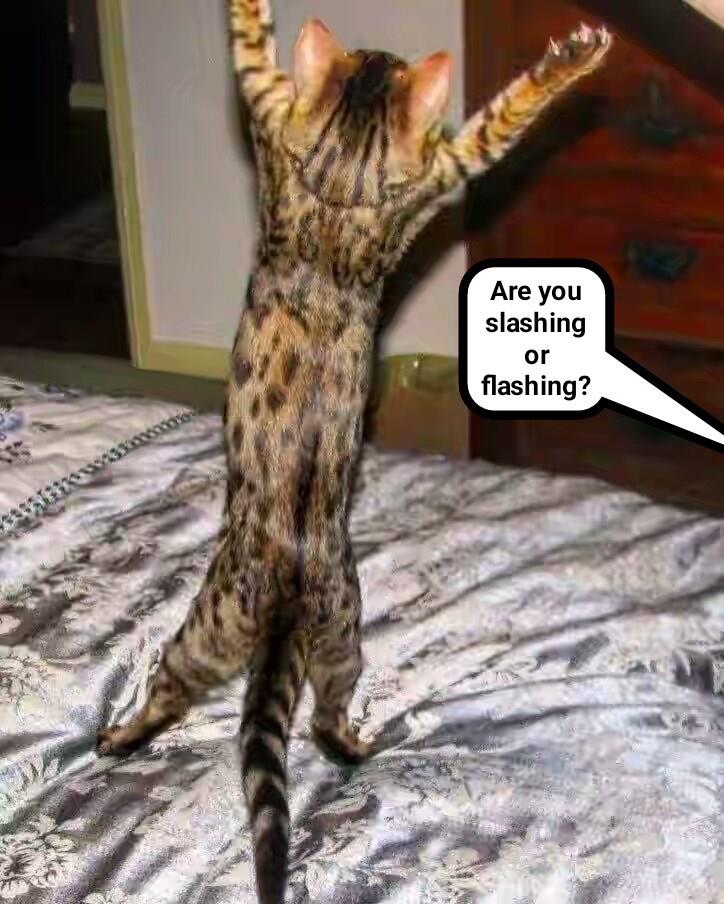 Visible claws or invisible raincoat? (recaption