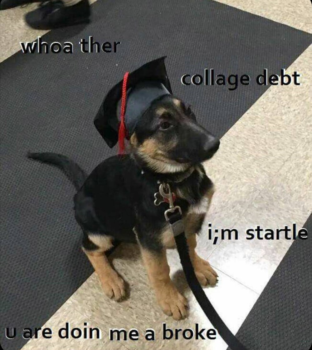 Memebase graduation Page 2 All Your Memes In Our Base Funny