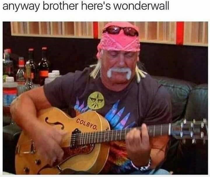 hulk hogan meme