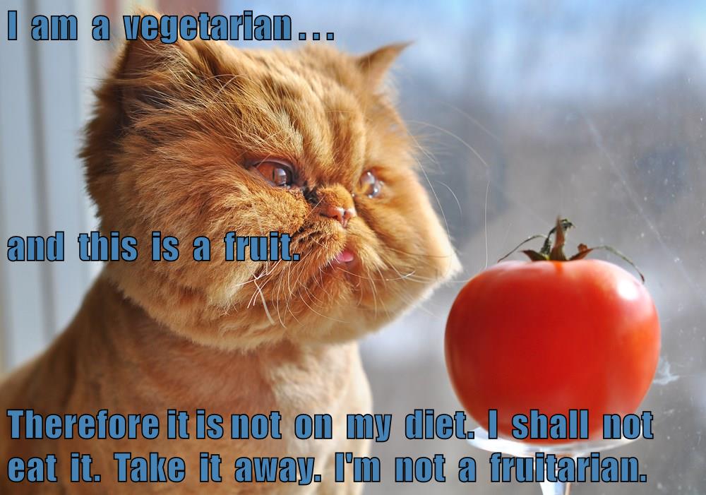 I am a vegetarian Lolcats lol cat memes funny cats funny cat