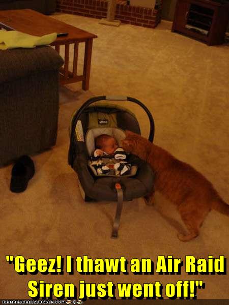  Geez I thawt an Air  Raid  Siren  just went off Lolcats 