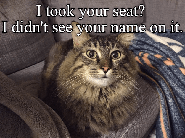 Move your feet, lose your seat. - Lolcats - lol | cat ...