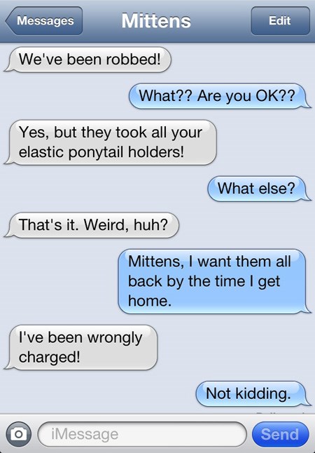 16 Hilarious Conversations That Would Happen If Cats Could Text - I Can ...