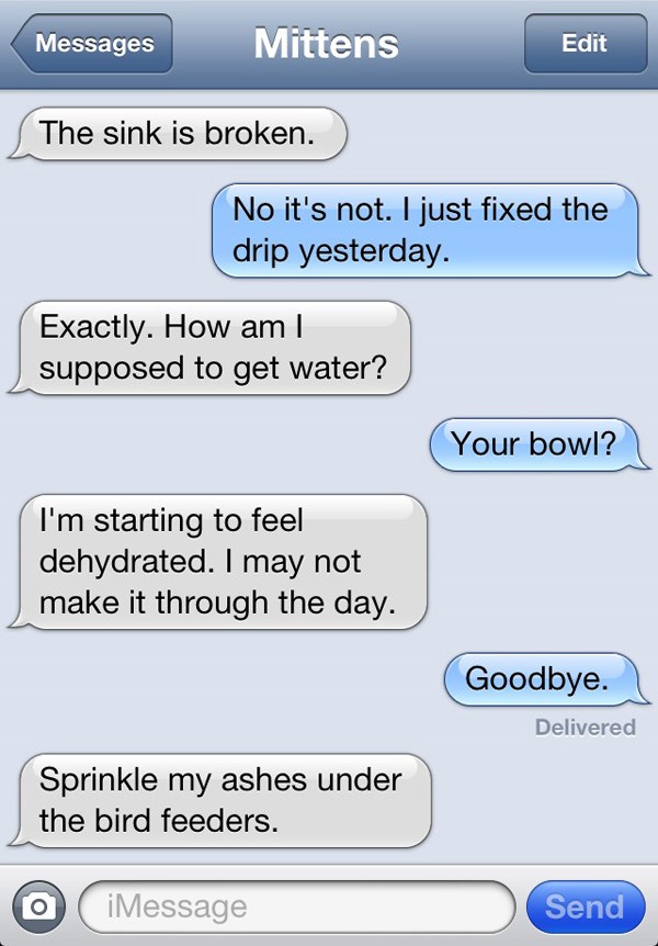 16 Hilarious Conversations That Would Happen If Cats Could ...