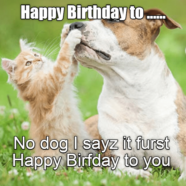Happy Birthday to ...... - I Has A Hotdog - Dog Pictures - Funny ...