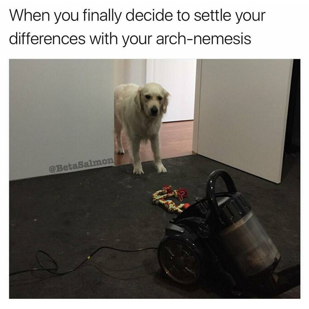 Truce Memebase Funny Memes