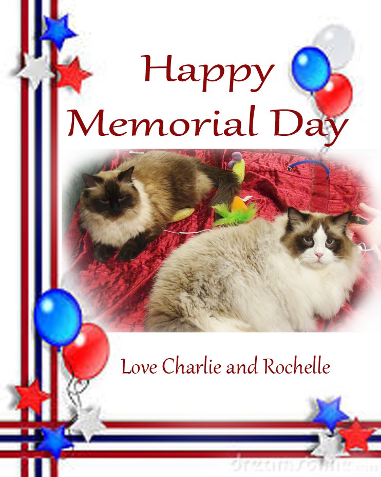 Have a safe and Happy Memorial Day Weekend To All Our US Friends