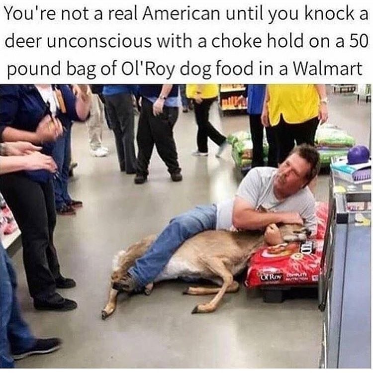 [Image: funny-meme-about-having-a-deer-in-a-chok...at-walmart]