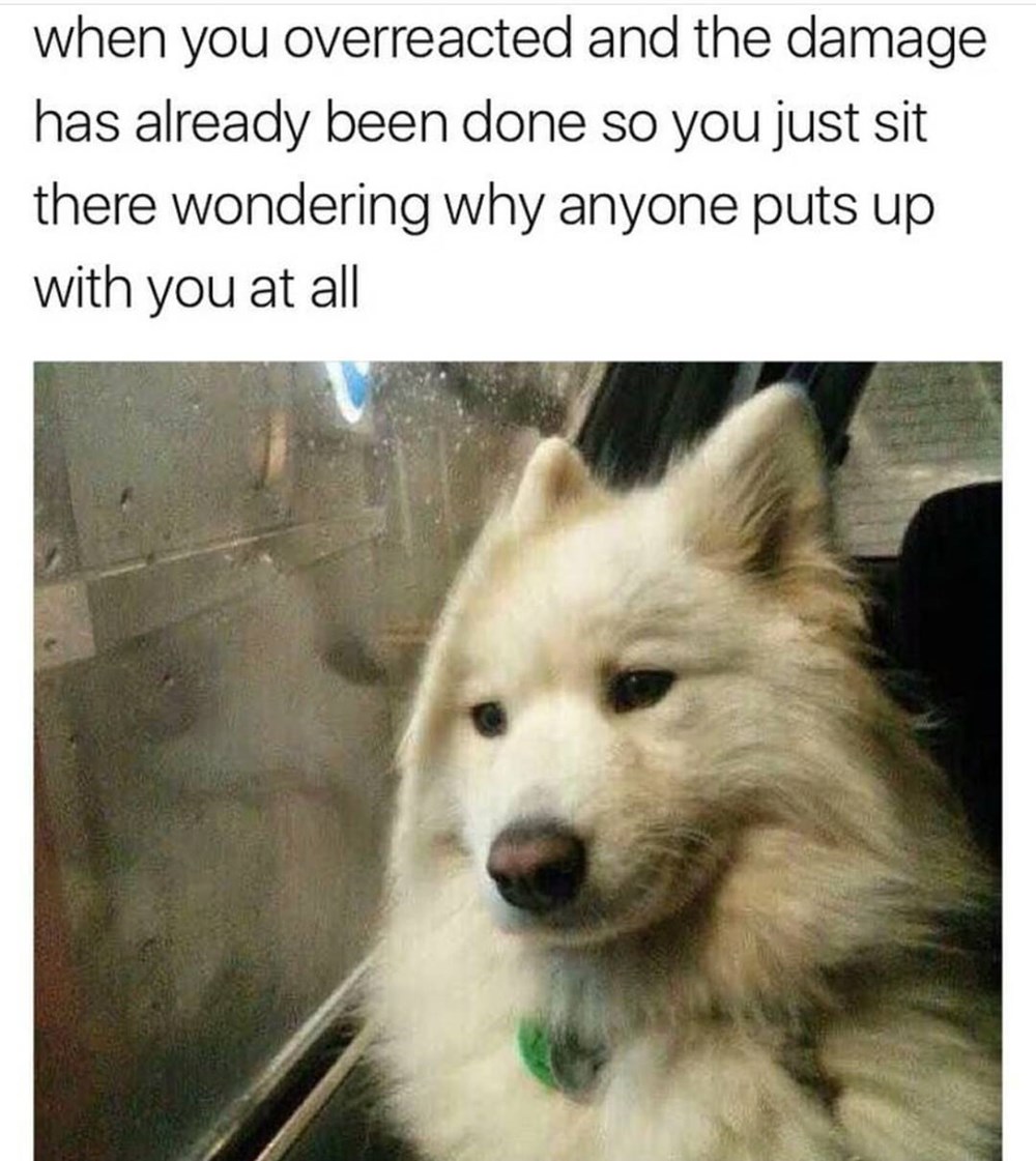 why-am-i-like-this-memebase-funny-memes