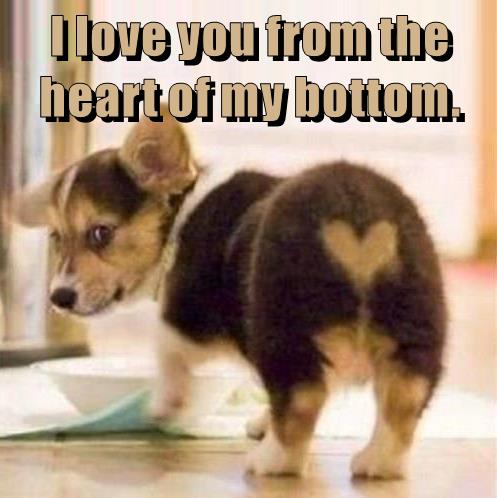 I love you from the heart of my bottom. - I Has A Hotdog ...