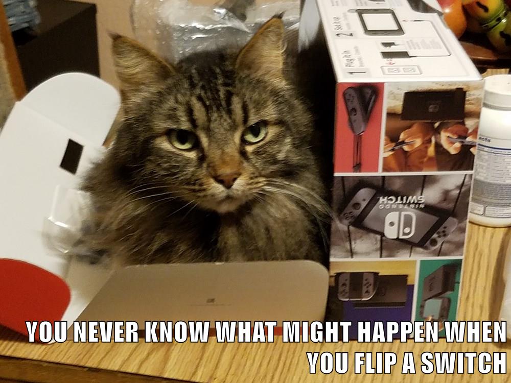 YOU NEVER KNOW WHAT MIGHT HAPPEN WHEN YOU FLIP A SWITCH - Lolcats - lol ...