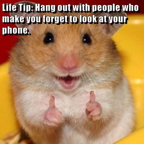 Life Tip - Animal Comedy - Animal Comedy, funny animals, animal gifs