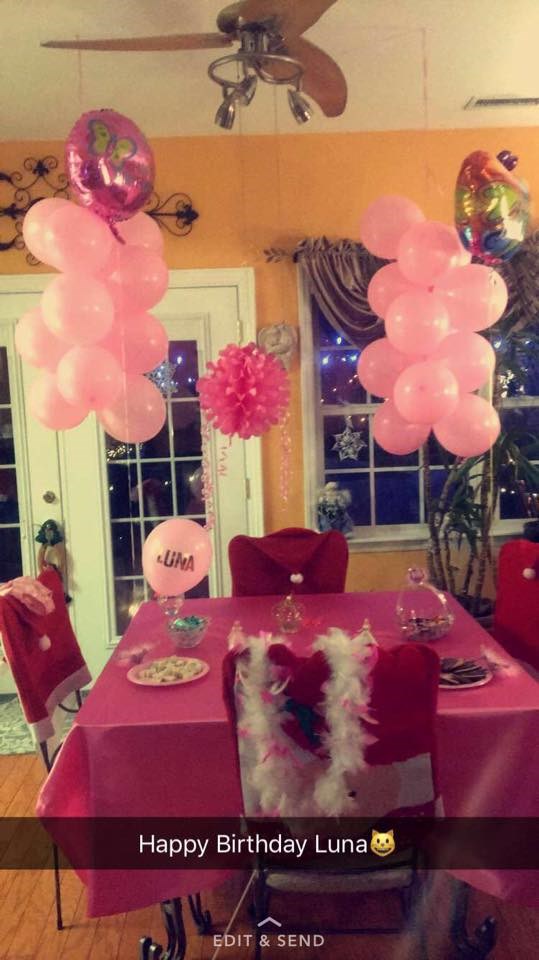 Hispanic Cat Turns 15 And Her Loving Family Throws Her A Surprise