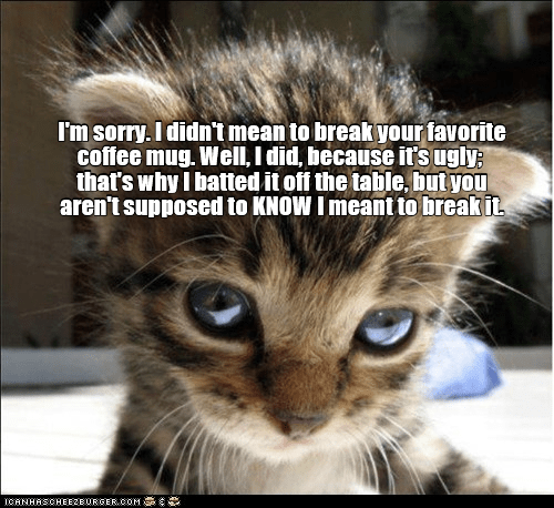 No use crying over spilled coffee Lolcats lol cat memes funny