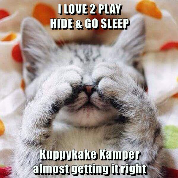 I LOVE 2 PLAY HIDE & GO SLEEP Kuppykake Kamper almost getting it right ...