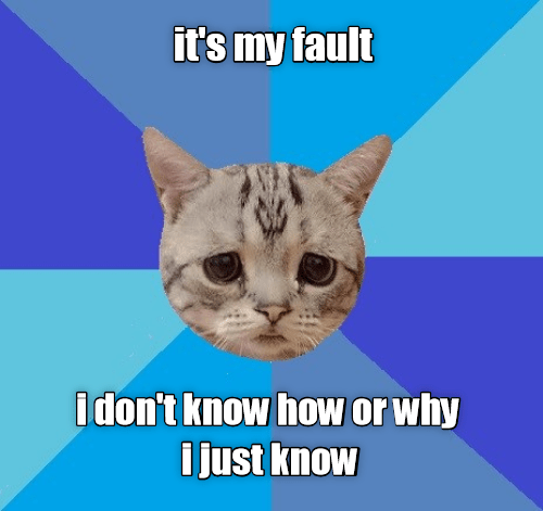 Always My Fault Lolcats Lol Cat Memes Funny Cats Funny Cat