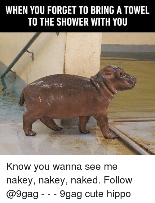 Time For Some Hippos! 15 Funny memes to make your Sunday better I Can