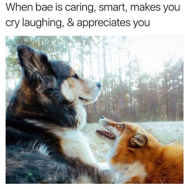 These 17 Wholesome Memes Will Totally Lift Your Spirits Memebase Funny Memes Funny Pics 