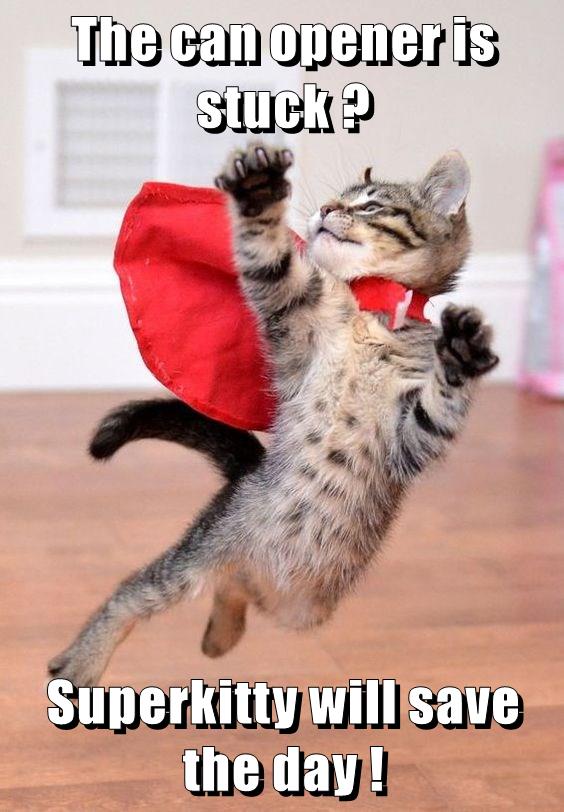 Superkitty will save the day ! - Lolcats - lol | cat memes ...