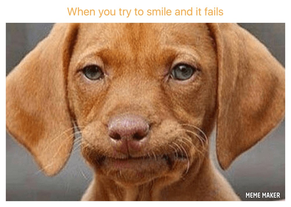 When you try to smile I Has A Hotdog Dog Pictures Funny pictures