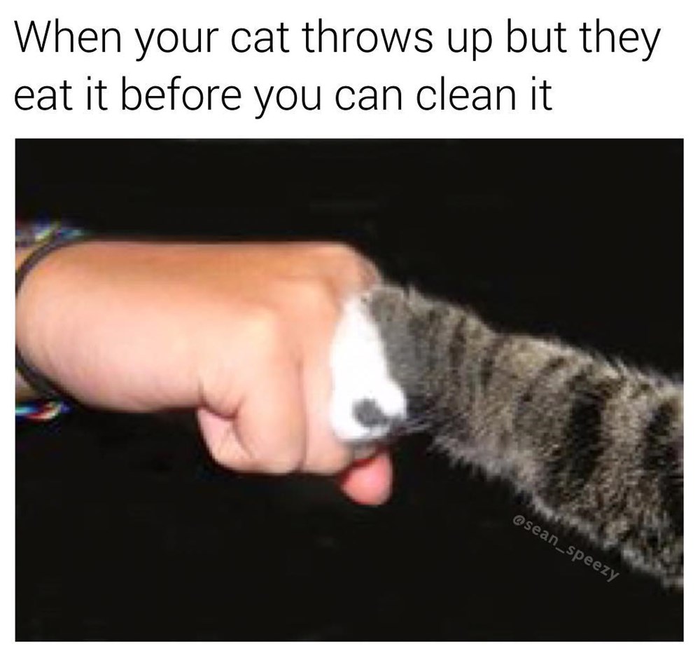 Teamwork Makes The Dream Work - Memebase - Funny Memes