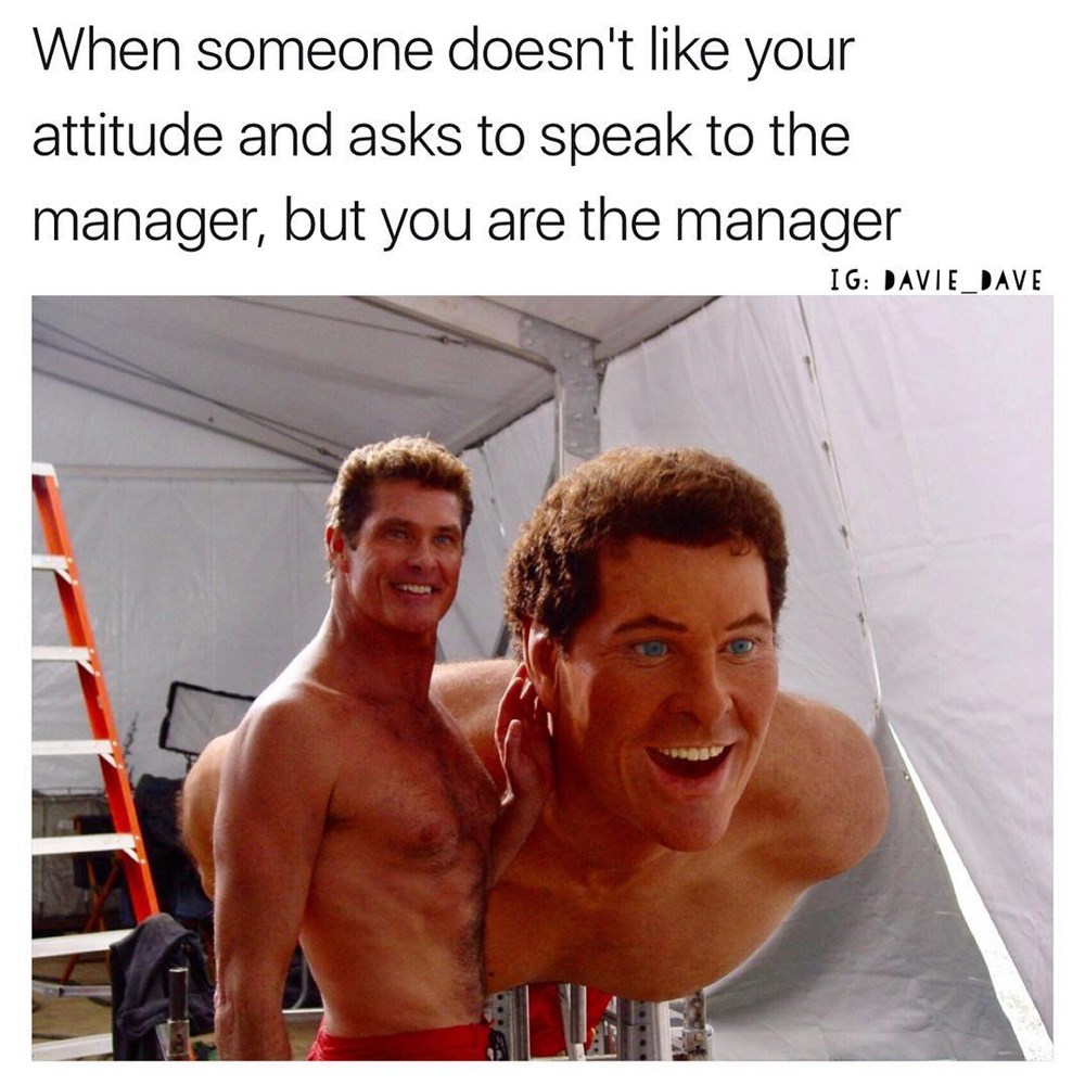 Memebase - david hasselhoff - All Your Memes In Our Base - Funny Memes -  Cheezburger