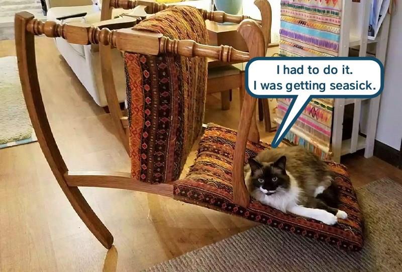 "Rock the boat / Must tip the boat over" I Can Has Cheezburger