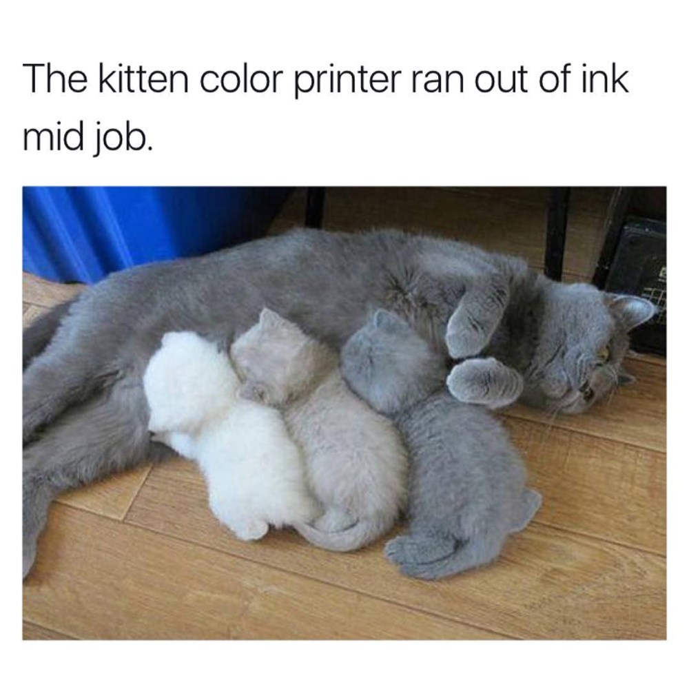 Time To Go To Staples Memebase Funny Memes