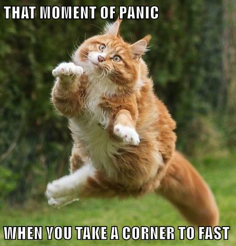 THAT MOMENT OF PANIC - Lolcats - lol | cat memes | funny cats | funny ...