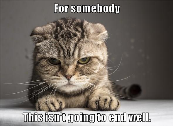 For somebody This isn't going to end well. - Lolcats - lol | cat memes ...