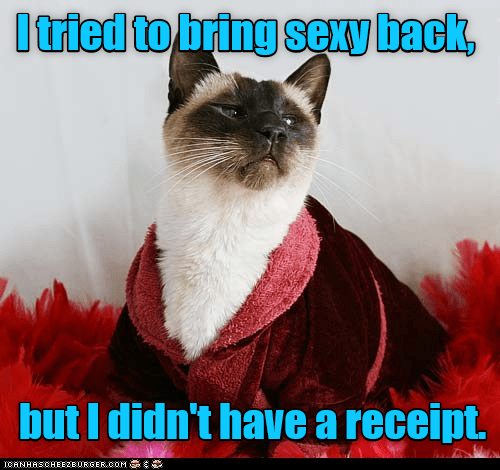 Da Ya Think I'm Sexy? - Lolcats - lol | cat memes | funny cats | funny