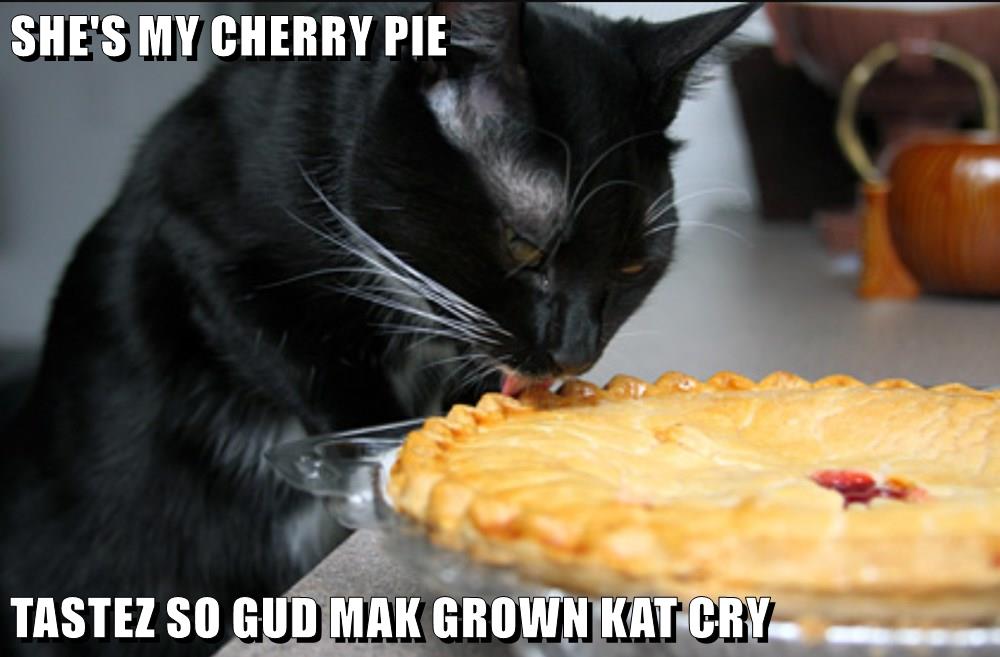 SHE'S MY CHERRY PIE - Lolcats - lol | cat memes | funny cats | funny ...