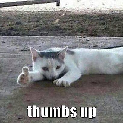 kitty thumbs up