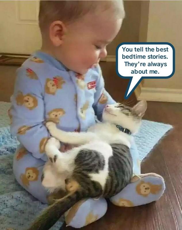 Baby, you're the best - Lolcats - lol | cat memes | funny ...