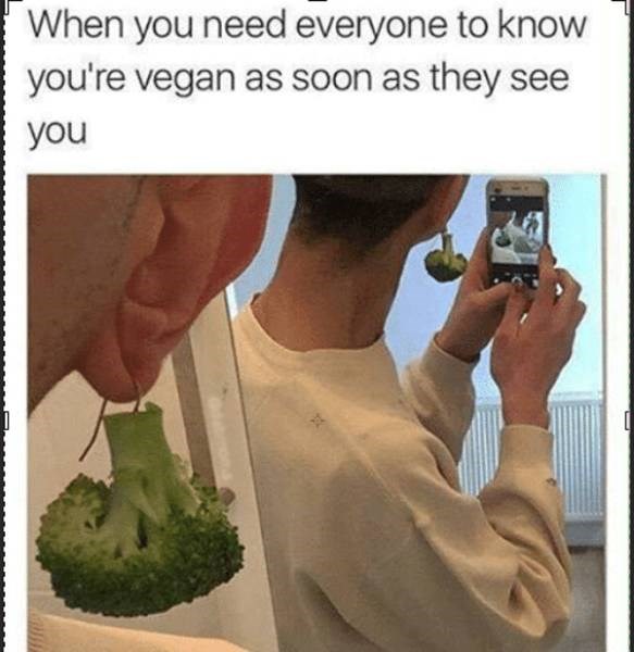 32 Vegan Memes That Will Make You Want a Steak - FAIL Blog - Fail ...