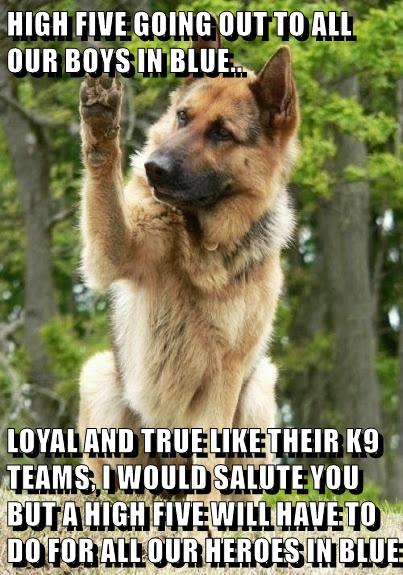 HIGH FIVE! - I Has A Hotdog - Dog Pictures - Funny pictures of dogs ...