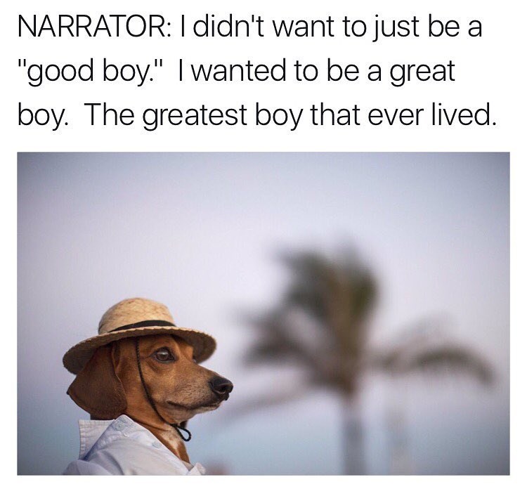 The Best Boy Memebase Funny Memes