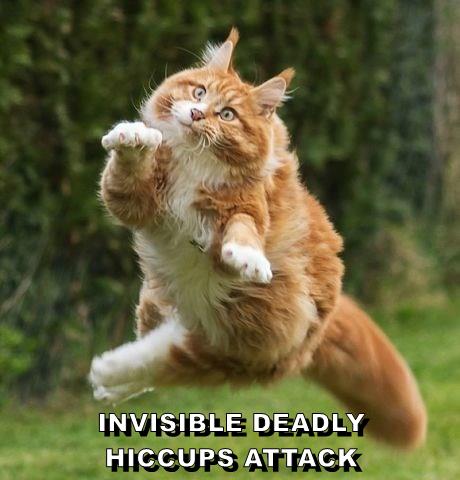 INVISIBLE DEADLY HICCUPS ATTACK - Lolcats - lol | cat memes | funny ...