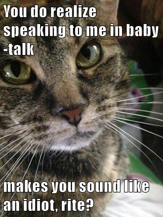 Rite? - Lolcats - Lol 