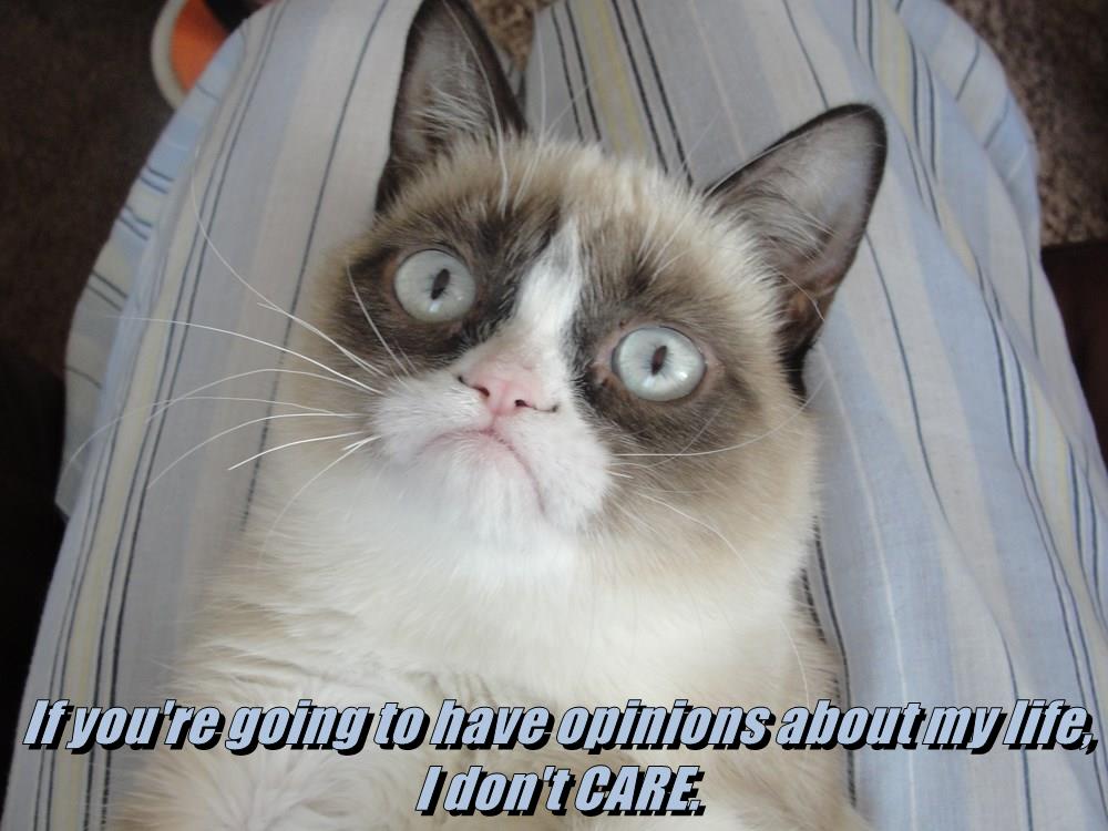 Don't CARE. - Lolcats - lol | cat memes | funny cats | funny cat ...