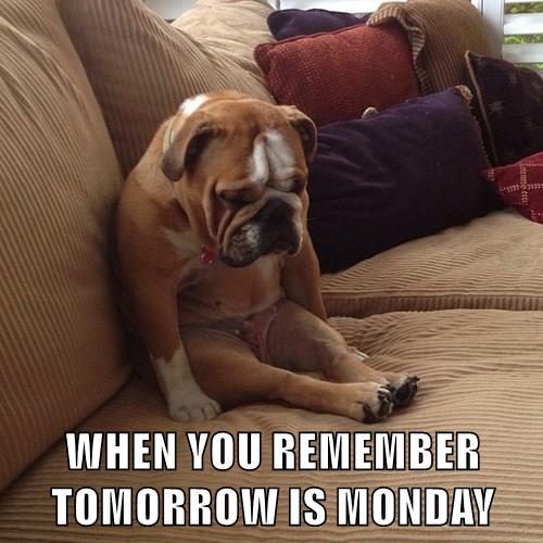 tomorrow is monday meme