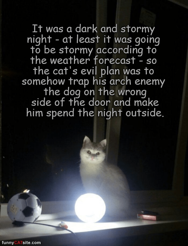 It was a dark and stormy night... Lolcats lol cat memes funny cats funny cat pictures