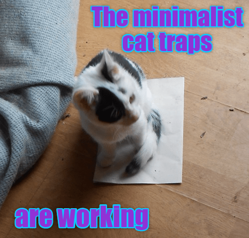 cat traps - Lolcats - lol | cat memes | funny cats | funny cat pictures ...