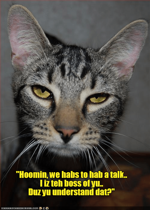 The talk.. - Lolcats - lol | cat memes | funny cats | funny cat ...