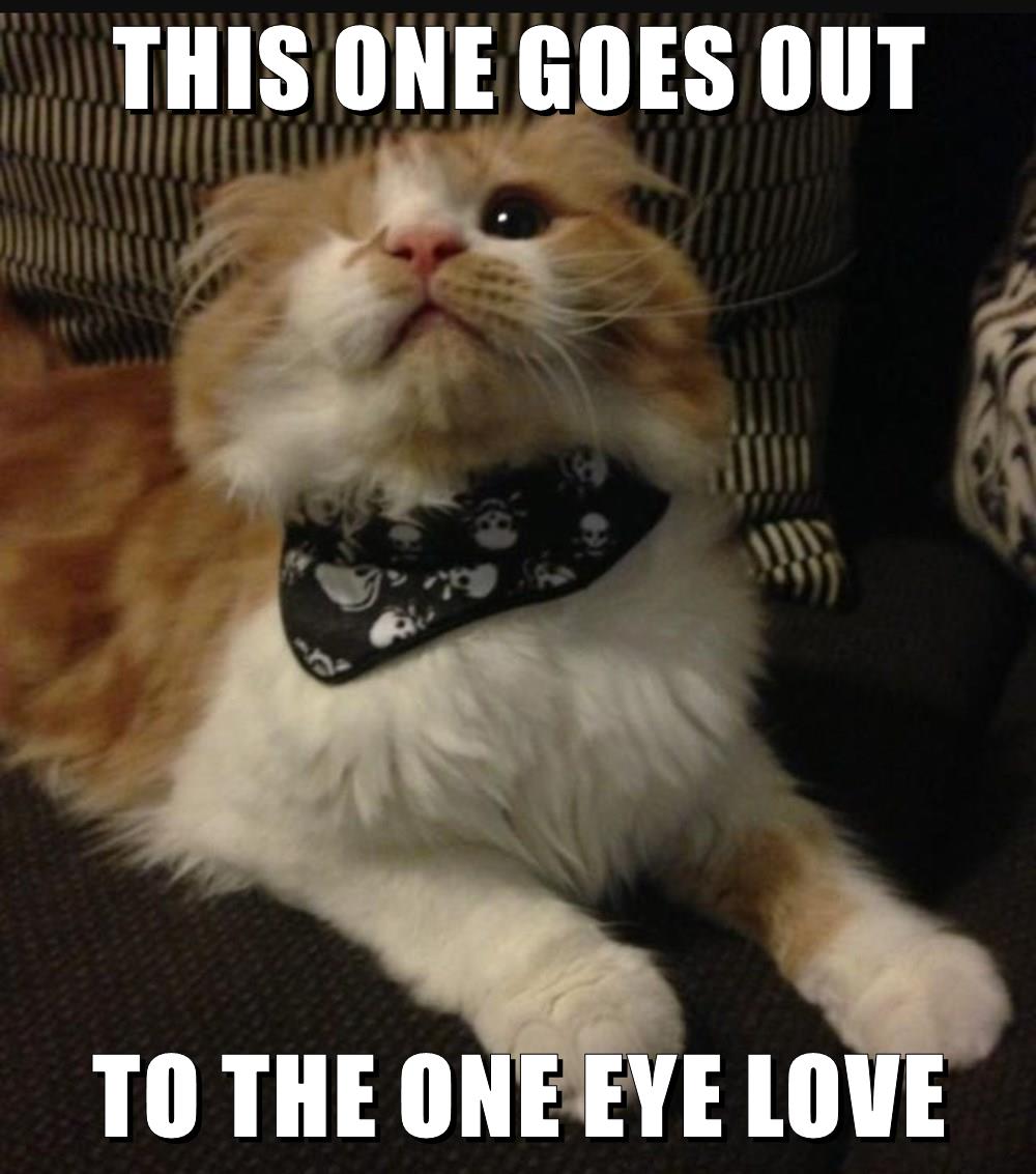 THIS ONE GOES OUT TO THE ONE EYE LOVE - Lolcats - lol | cat memes ...