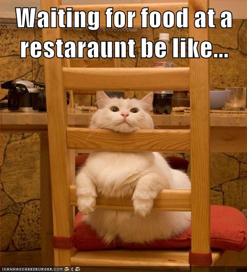 Waiting for food at a restaraunt be like... - Lolcats - lol | cat memes