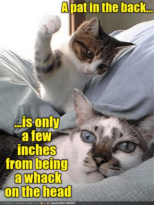 Kittehz wurds uv wisdom - Lolcats - lol | cat memes | funny cats ...