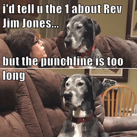 Too long - I Has A Hotdog - Dog Pictures - Funny pictures of dogs - Dog  Memes - Puppy pictures - doge
