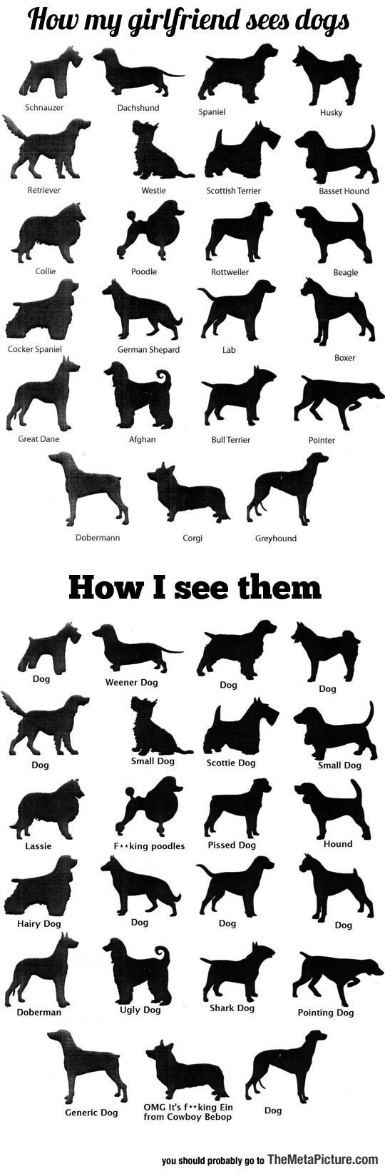 How I See Dogs I Can Has Cheezburger?